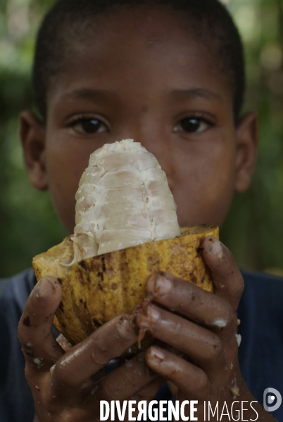 Sao Tomé : l île cacao