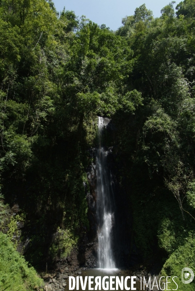 Sao Tomé : l île cacao