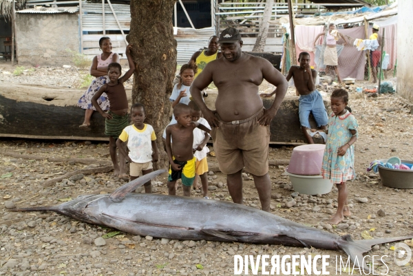 Sao Tomé : l île cacao