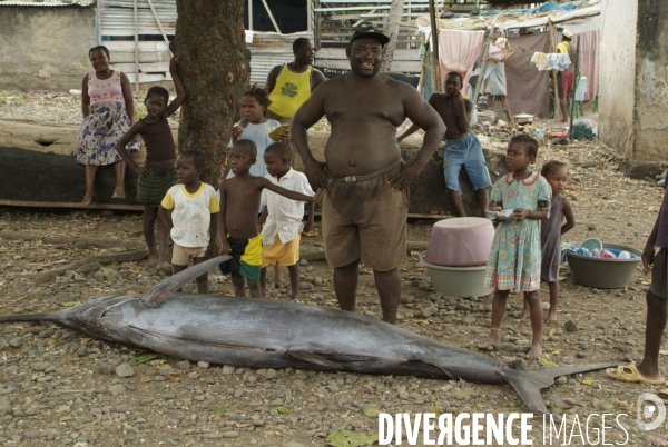 Sao Tomé : l île cacao