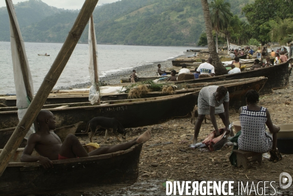 Sao Tomé : l île cacao