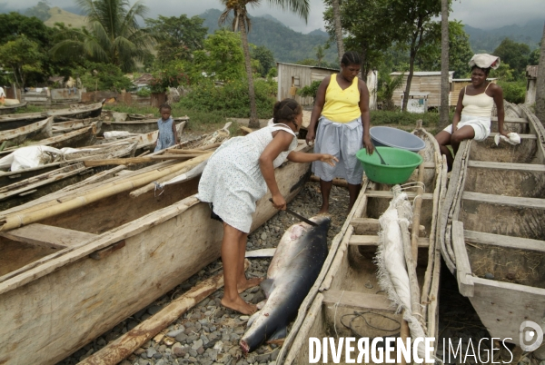 Sao Tomé : l île cacao