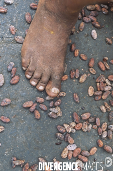 Sao Tomé : l île cacao