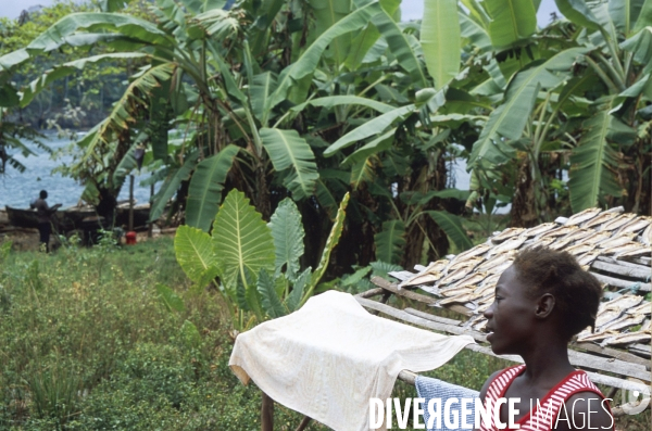 Sao Tomé : l île cacao