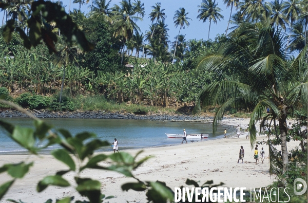 Sao Tomé : l île cacao