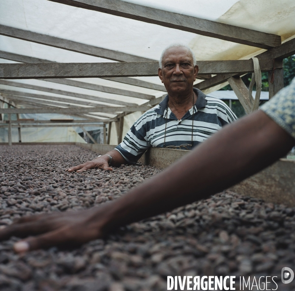 Sao Tomé : l île cacao