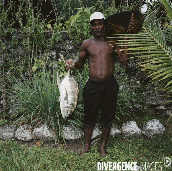 Sao Tomé : l île cacao