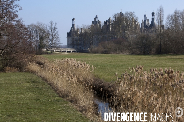 Domaine National du Château de Chambord, illustration.