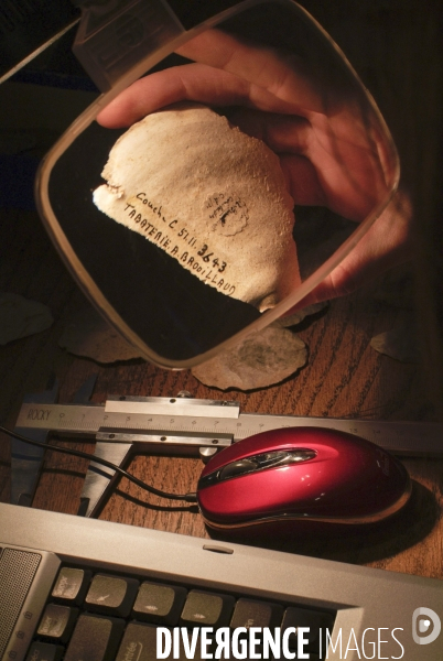 Le Musée de l Homme avant travaux