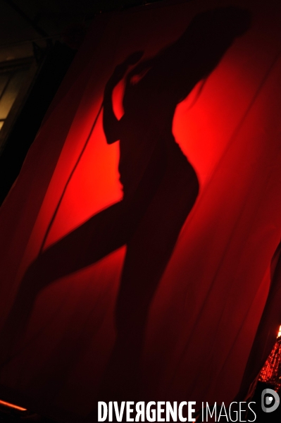 Festival Paris Burlesque a la Bellevilloise : la  nouvelle mode de l effeuillage et du cabaret coquin