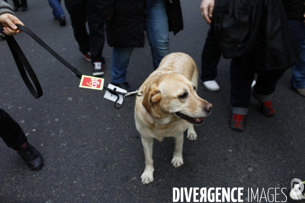 Manifestation contre l accord de  Sécurisation de l Emploi  à l appel de la CGT et de FO