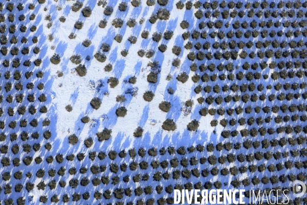 Vue aerienne de Provence sous la neige
