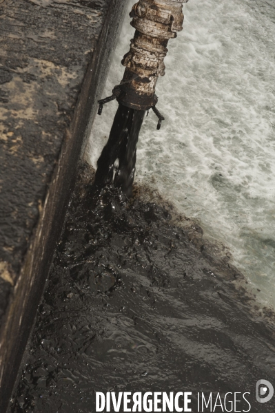 Le Cedre à Brest : stage de dépollution contre les marées noire