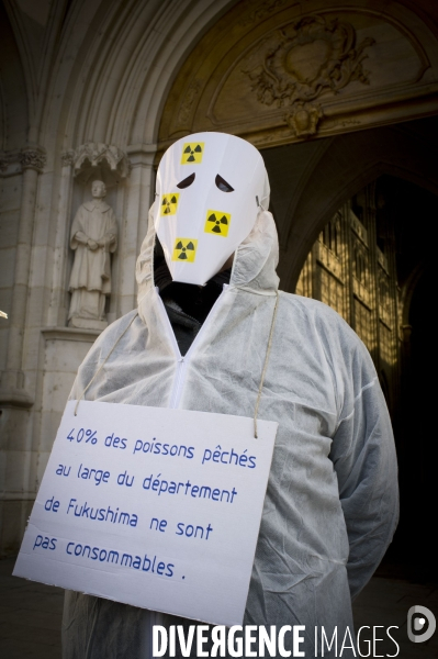 Divers Mars 2013 : Anti Nucleaires