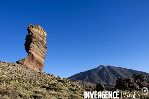 TENERIFE , Iles CANARIES / Islas Canarias - Espagne