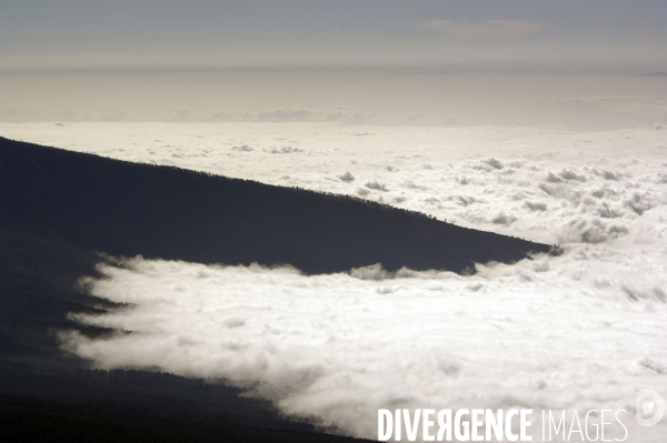 TENERIFE , Iles CANARIES / Islas Canarias - Espagne