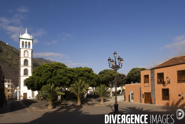 TENERIFE , Iles CANARIES / Islas Canarias - Espagne