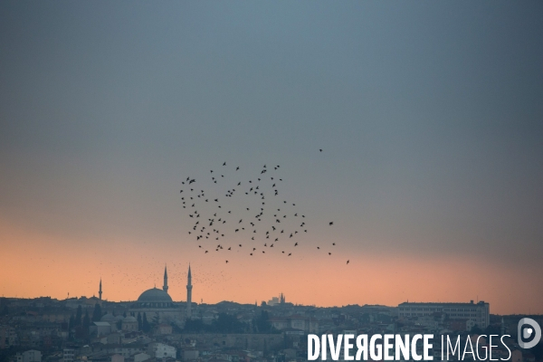 Illustration: paysages urbains, Istanbul