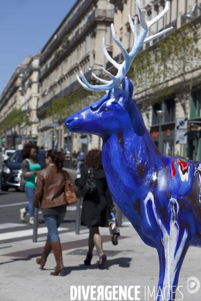 Marseille MP2013