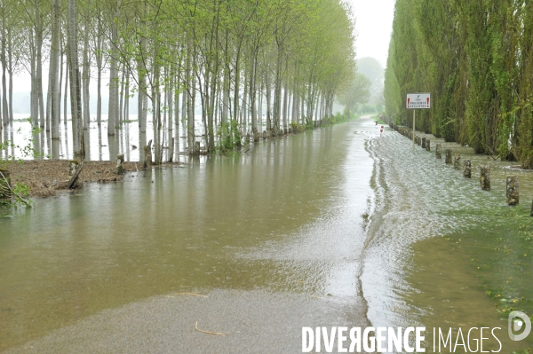 Crues de la rivière Yonne. Flooding of the river Yonne.