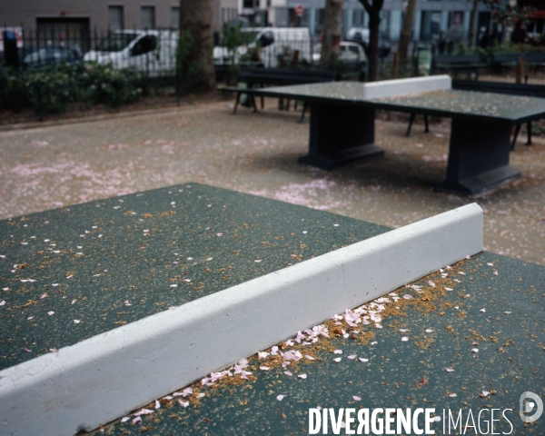 Place de la Chapelle sous les prunus en fleur