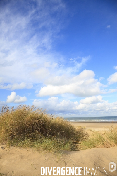 Dunkerque - Illustrations