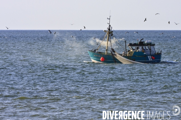 Dunkerque - Illustrations