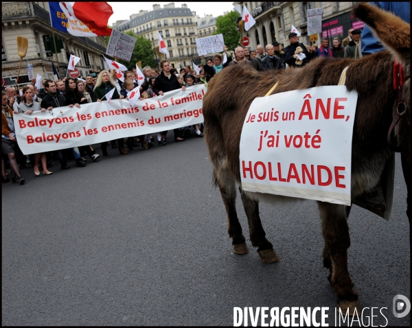 Manifestation de Civitas contre le mariage pour tous