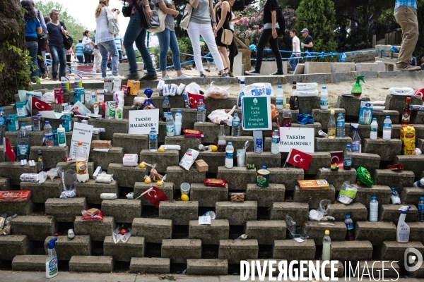 1er jour de grève générale, Place Taksim et parc Gezi, Istanbul