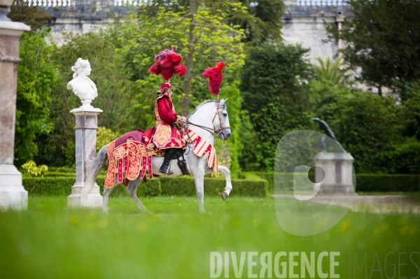 Les chevaux du soleil, le grand carrousel royal de Versailles