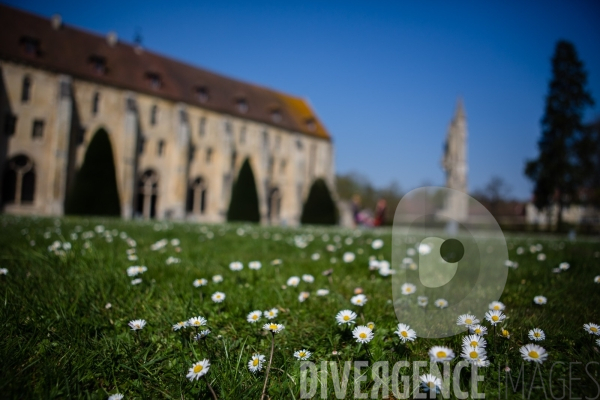 Abbaye de Royaumont