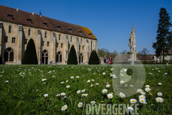 Abbaye de Royaumont