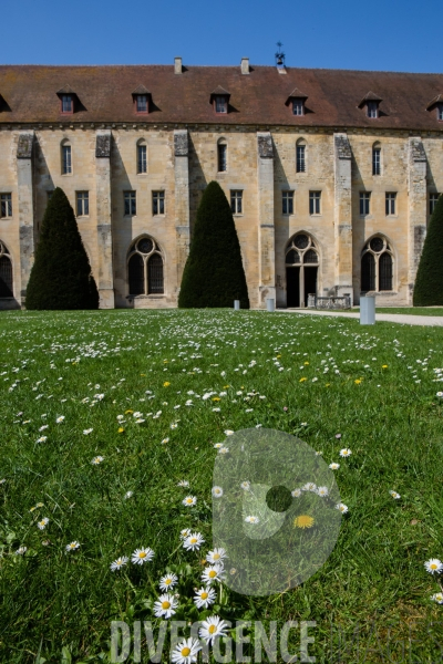 Abbaye de Royaumont