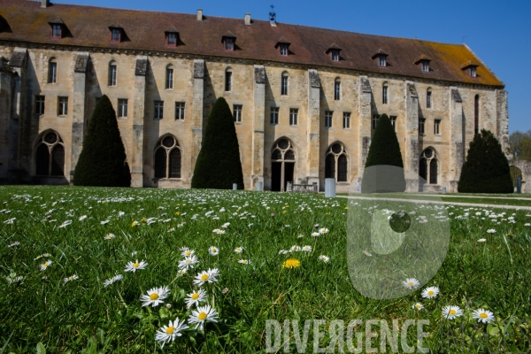 Abbaye de Royaumont
