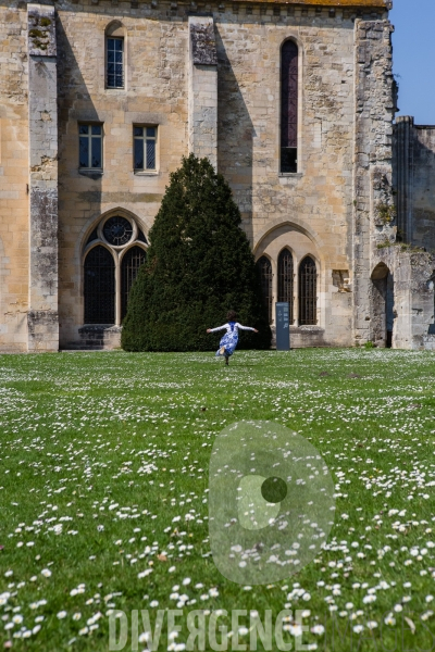 Abbaye de Royaumont