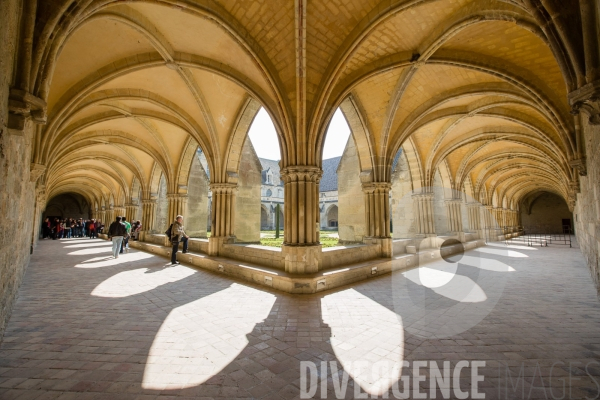 Abbaye de Royaumont