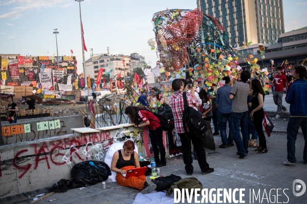 Republic of Taksim #1