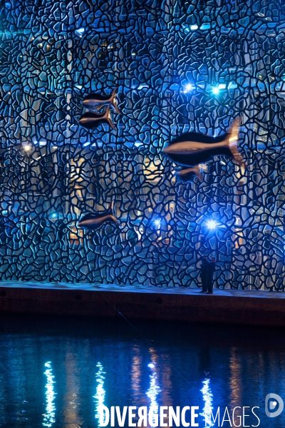 Mucem MP2013