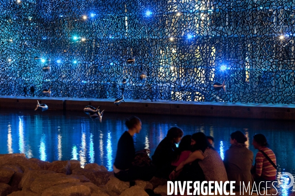 Mucem MP2013