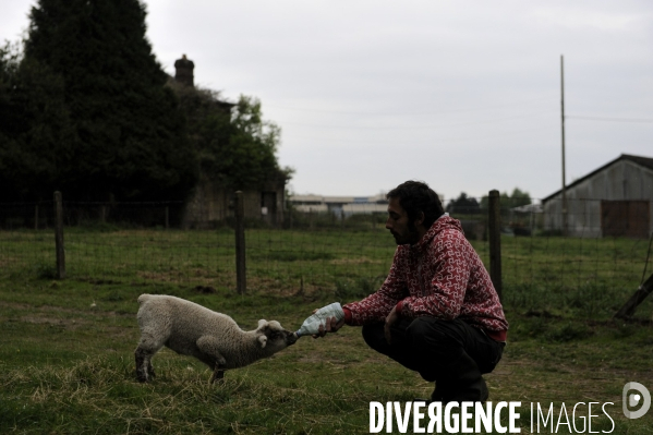 La Ferme des Bouillons près de Rouen : Une Zone à Défendre