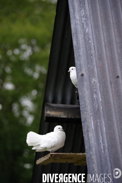 La Ferme des Bouillons près de Rouen : Une Zone à Défendre