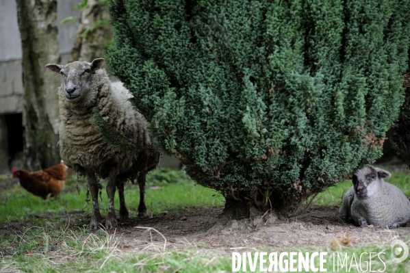 La Ferme des Bouillons près de Rouen : Une Zone à Défendre