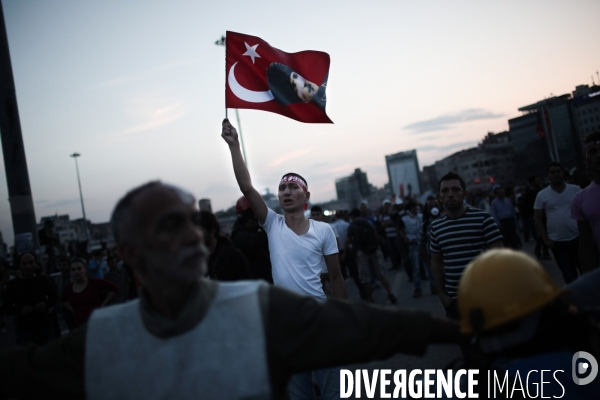Turkish Spring #6