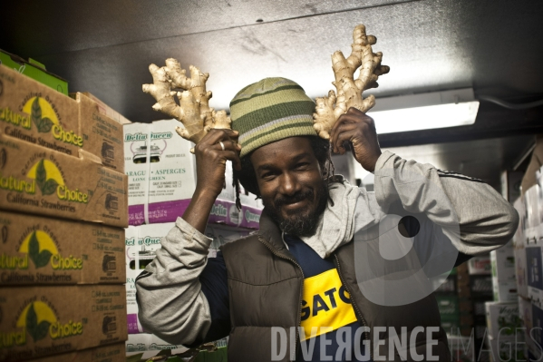 Park Slope Food Coop, supermarché coopératif à Brooklyn, New-york