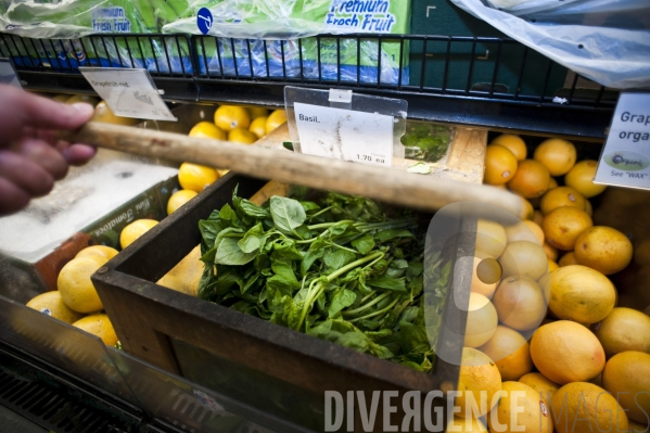 Park Slope Food Coop, supermarché coopératif à Brooklyn, New-york