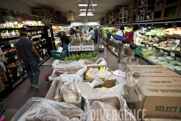 Park Slope Food Coop, supermarché coopératif à Brooklyn, New-york