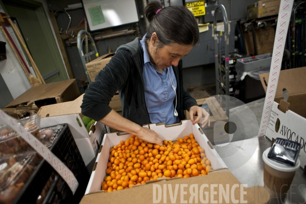 Park Slope Food Coop, supermarché coopératif à Brooklyn, New-york