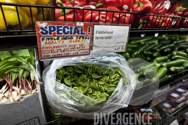 Park Slope Food Coop, supermarché coopératif à Brooklyn, New-york