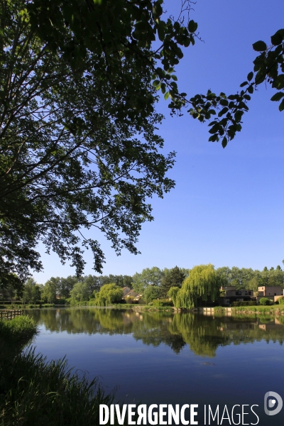 Villeneuve d Ascq - Illustrations