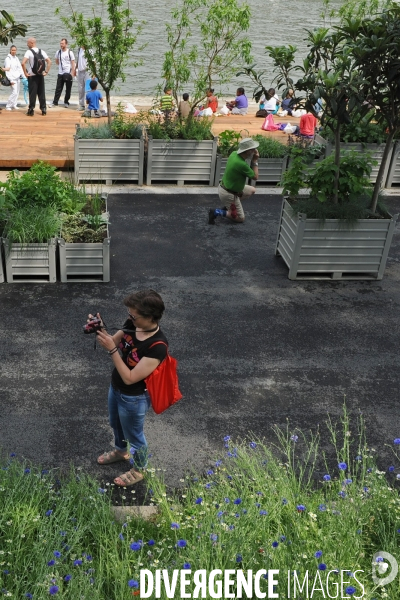 Amenagement pietonnier des Berges de Seine rive gauche